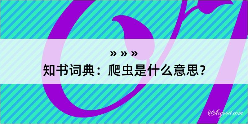 知书词典：爬虫是什么意思？