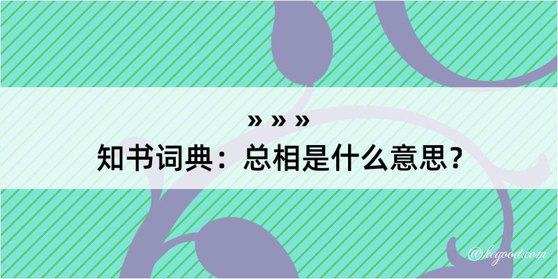 知书词典：总相是什么意思？