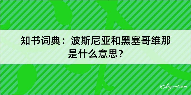 知书词典：波斯尼亚和黑塞哥维那是什么意思？