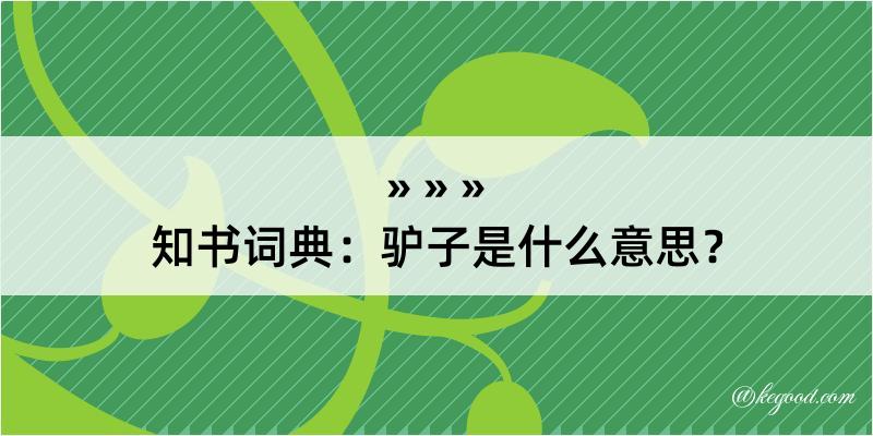 知书词典：驴子是什么意思？