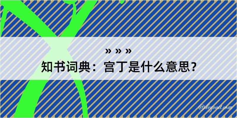 知书词典：宫丁是什么意思？