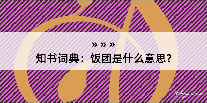 知书词典：饭团是什么意思？