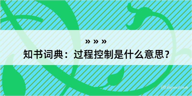 知书词典：过程控制是什么意思？