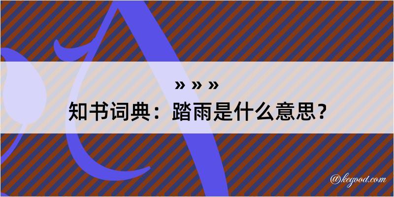 知书词典：踏雨是什么意思？