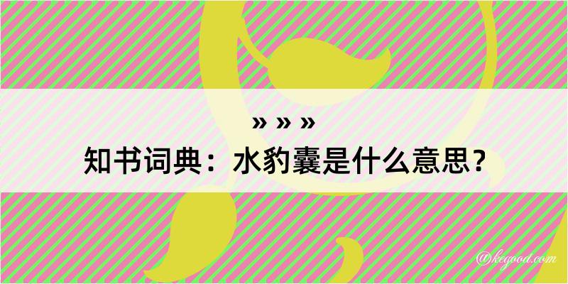 知书词典：水豹囊是什么意思？