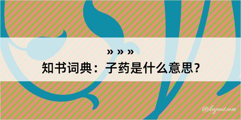 知书词典：子药是什么意思？