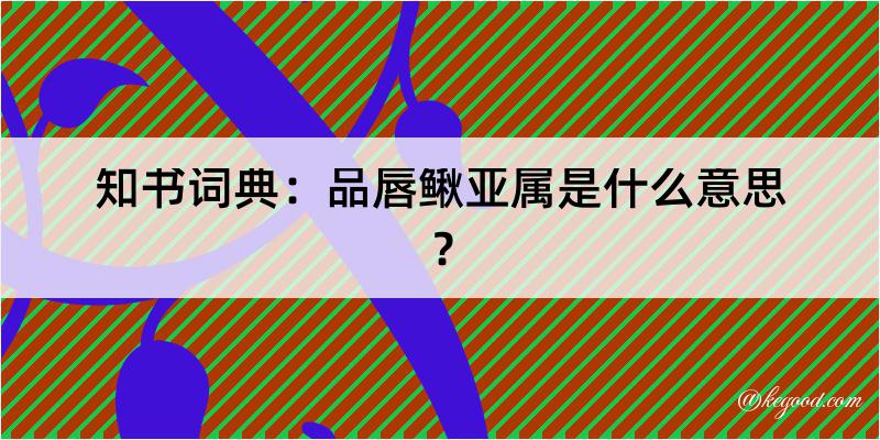 知书词典：品唇鳅亚属是什么意思？