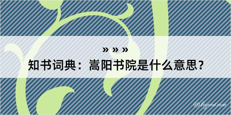 知书词典：嵩阳书院是什么意思？