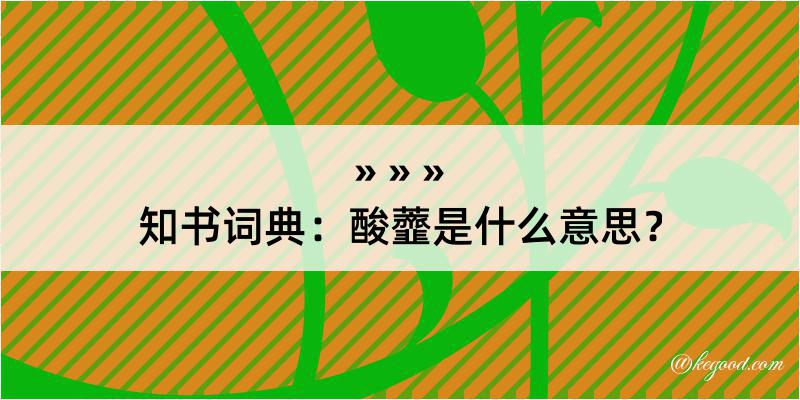 知书词典：酸虀是什么意思？