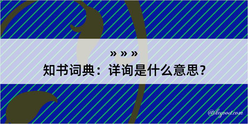 知书词典：详询是什么意思？