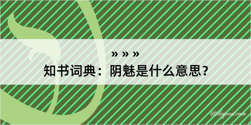 知书词典：阴魅是什么意思？