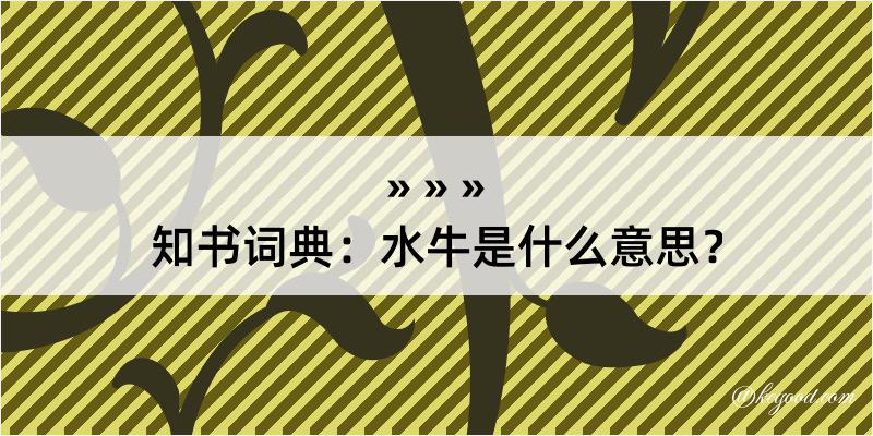 知书词典：水牛是什么意思？