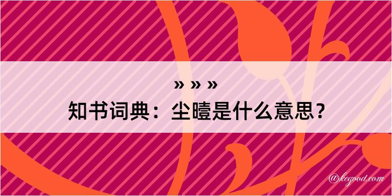 知书词典：尘曀是什么意思？