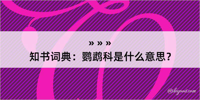 知书词典：鹦鹉科是什么意思？