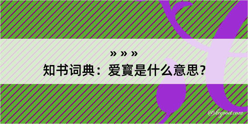 知书词典：爱寳是什么意思？