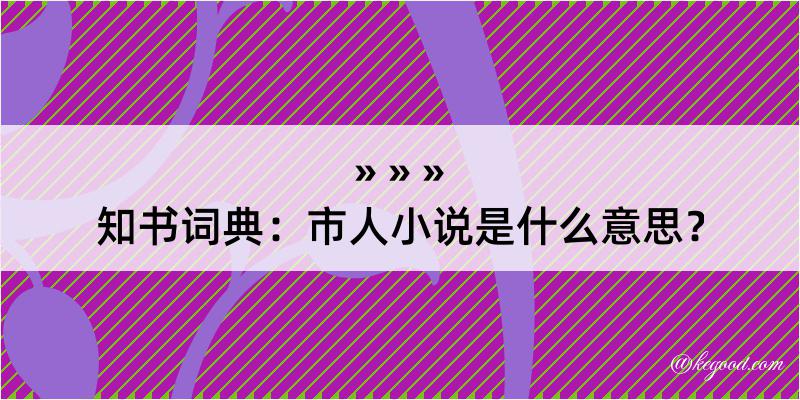 知书词典：市人小说是什么意思？