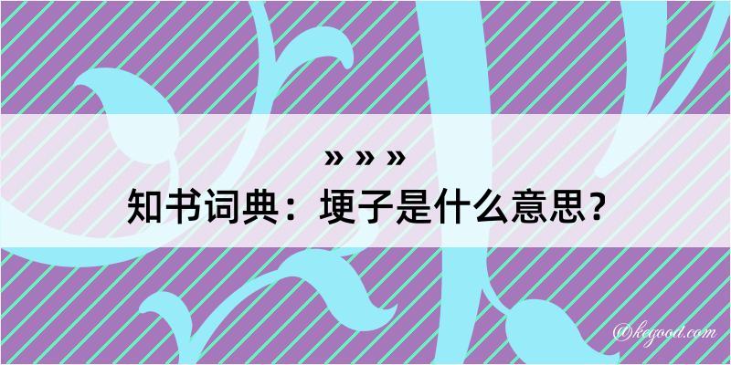 知书词典：埂子是什么意思？