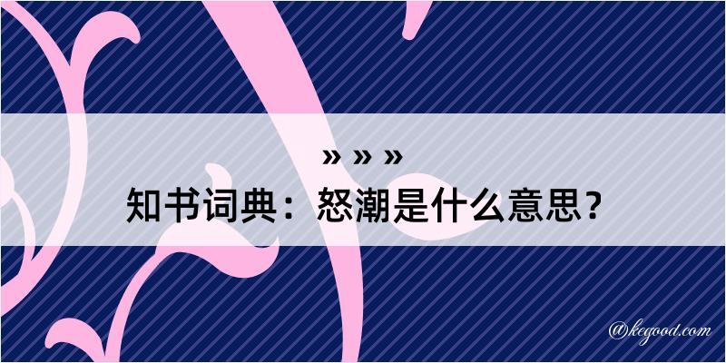 知书词典：怒潮是什么意思？