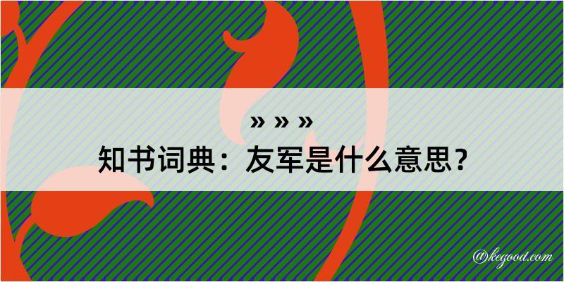 知书词典：友军是什么意思？