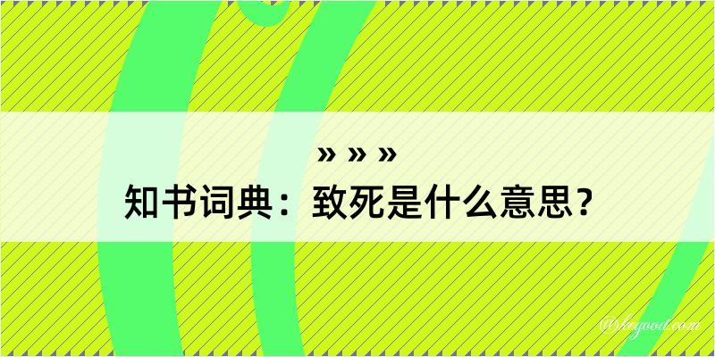 知书词典：致死是什么意思？