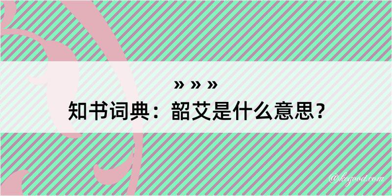 知书词典：韶艾是什么意思？