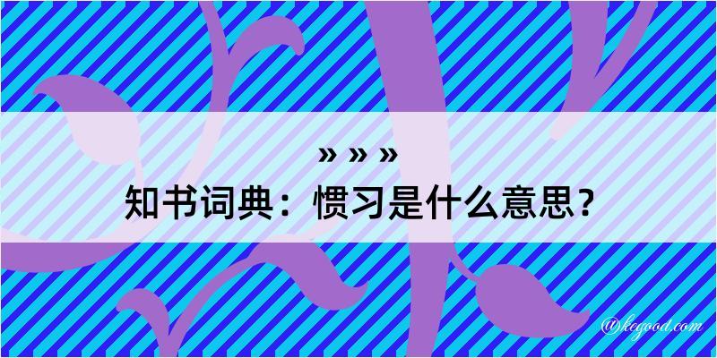 知书词典：惯习是什么意思？