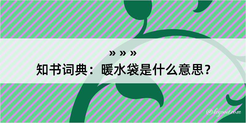 知书词典：暖水袋是什么意思？