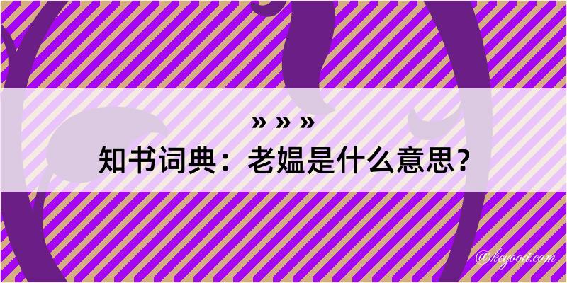 知书词典：老媪是什么意思？