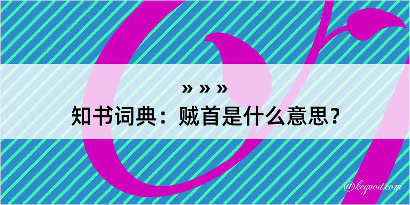 知书词典：贼首是什么意思？