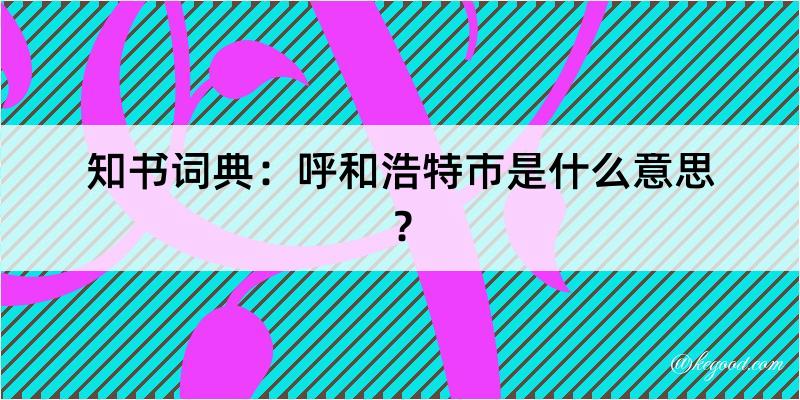 知书词典：呼和浩特市是什么意思？