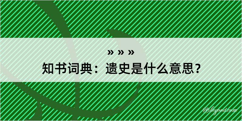 知书词典：遗史是什么意思？