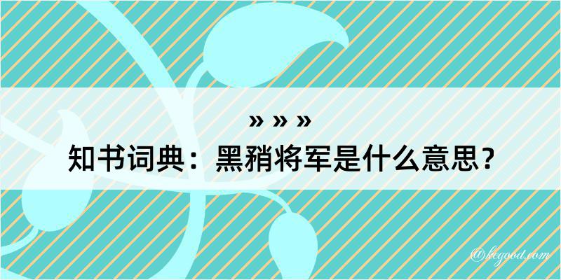 知书词典：黑矟将军是什么意思？