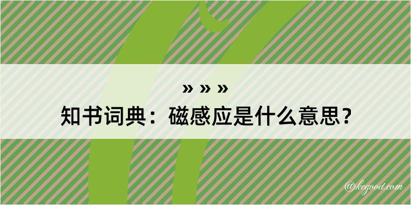 知书词典：磁感应是什么意思？