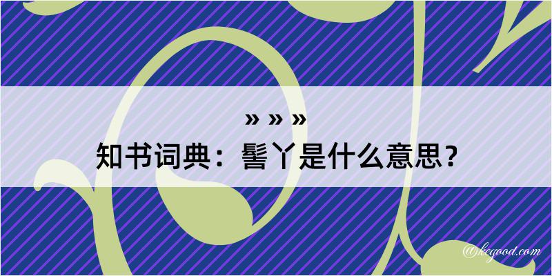 知书词典：髻丫是什么意思？