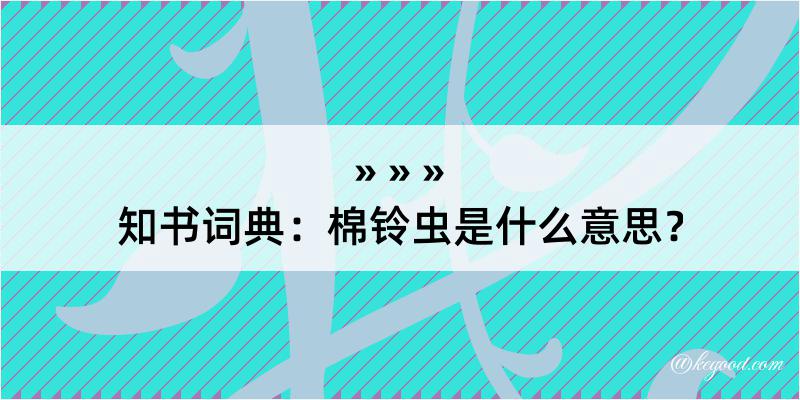 知书词典：棉铃虫是什么意思？