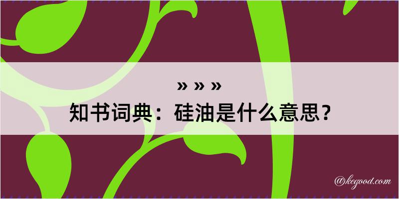 知书词典：硅油是什么意思？