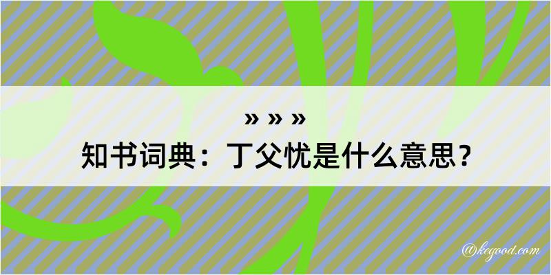 知书词典：丁父忧是什么意思？