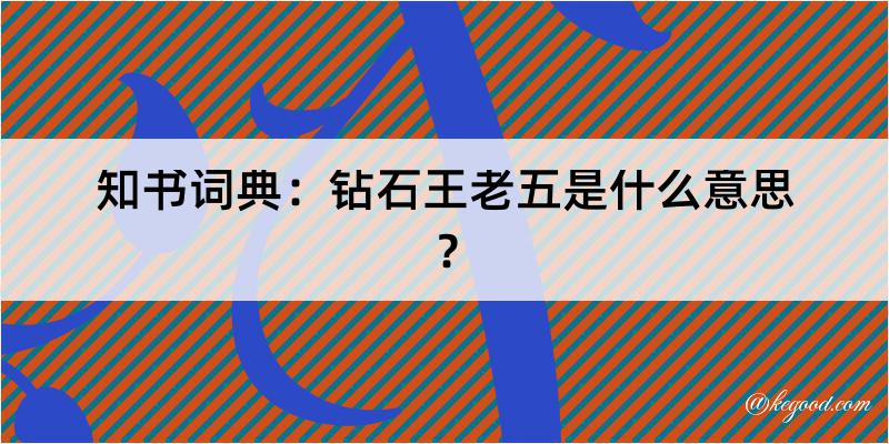 知书词典：钻石王老五是什么意思？