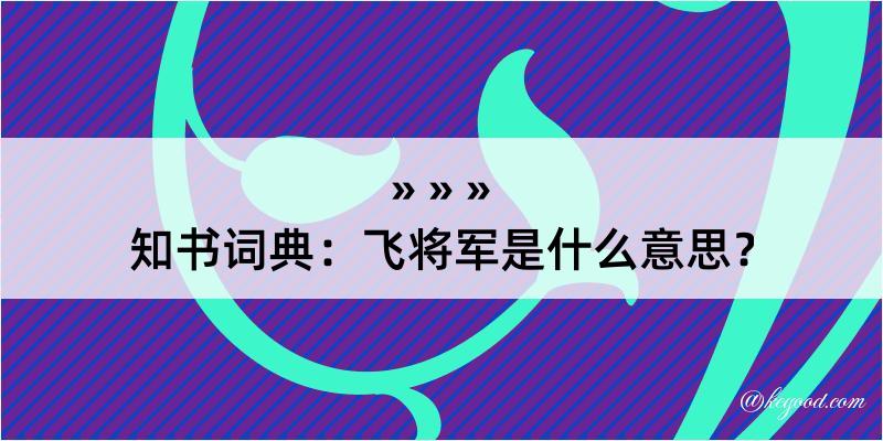 知书词典：飞将军是什么意思？