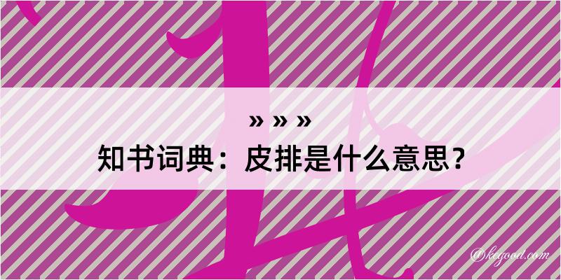 知书词典：皮排是什么意思？