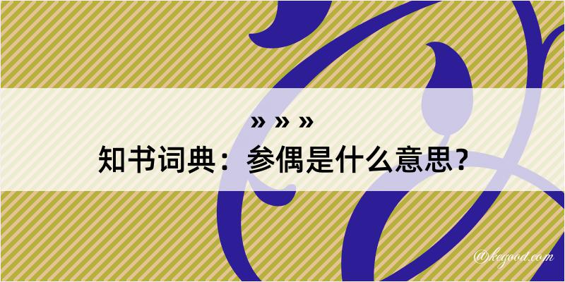 知书词典：参偶是什么意思？