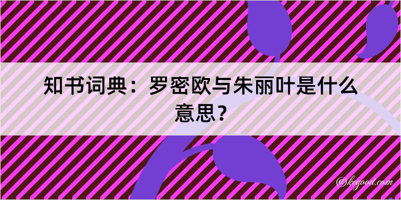 知书词典：罗密欧与朱丽叶是什么意思？