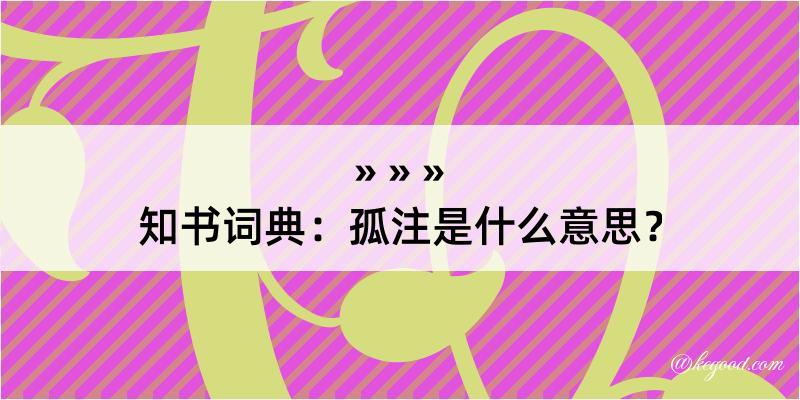 知书词典：孤注是什么意思？