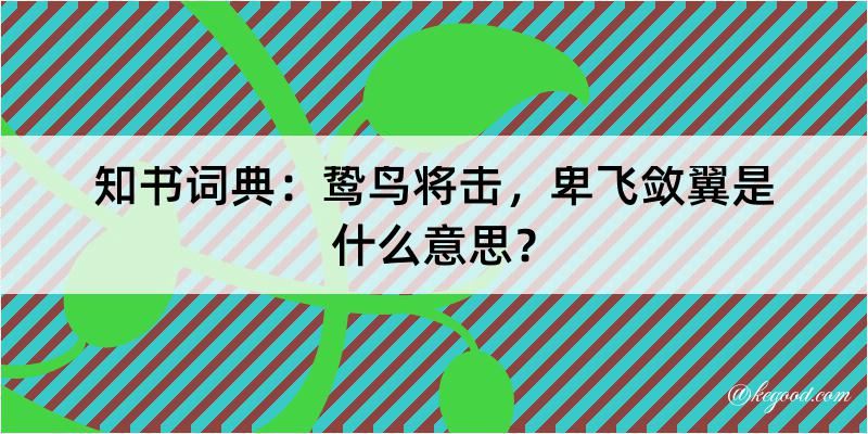 知书词典：鸷鸟将击，卑飞敛翼是什么意思？