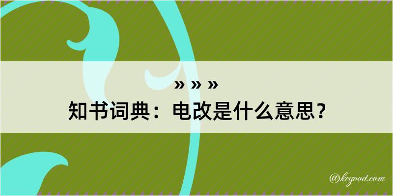 知书词典：电改是什么意思？