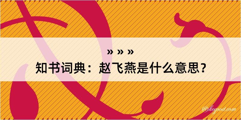 知书词典：赵飞燕是什么意思？