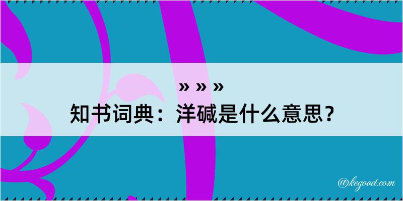 知书词典：洋碱是什么意思？