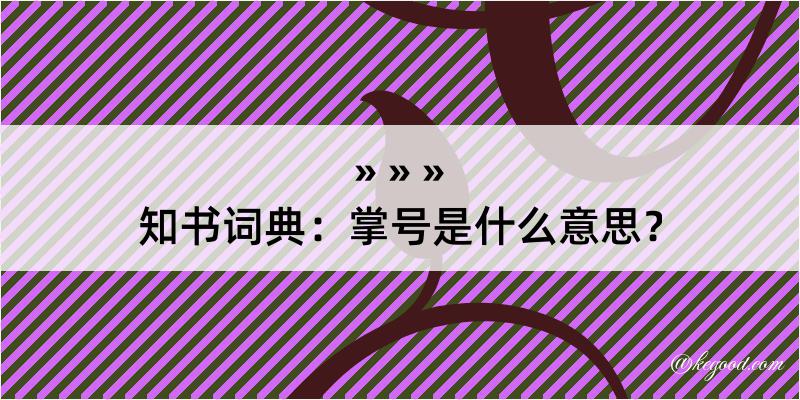 知书词典：掌号是什么意思？