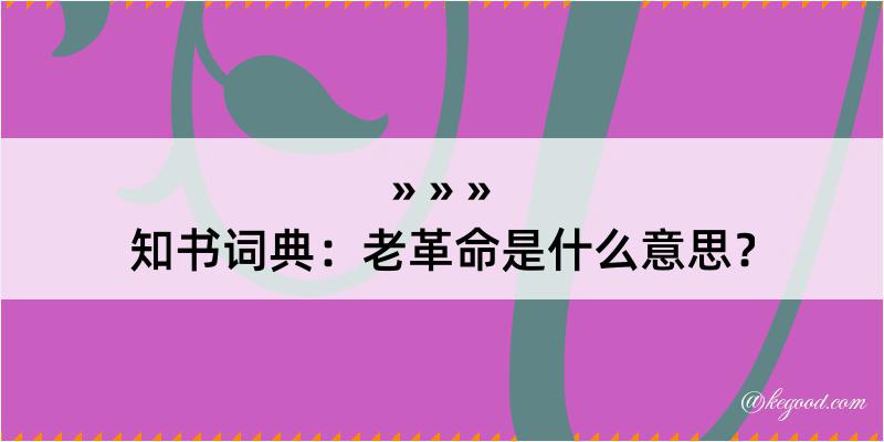 知书词典：老革命是什么意思？