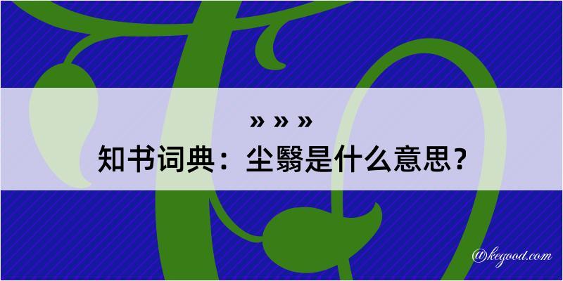 知书词典：尘翳是什么意思？